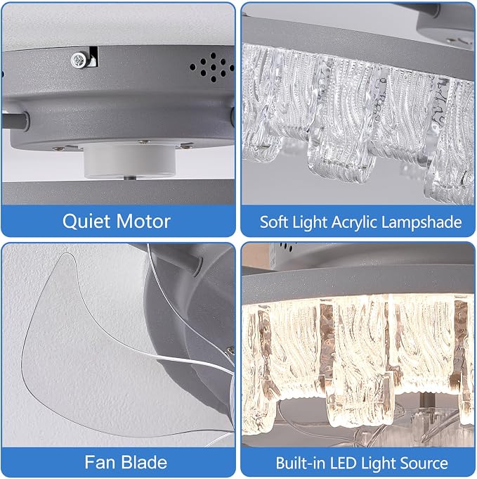 Dalouguan Rustic Silver Caged Ceiling Fan with Light, Personalized Fashion Ceiling Fan Remote Control with Acrylic, LED Low Profile Ceiling Light for Bedroom Kitchen Living Room