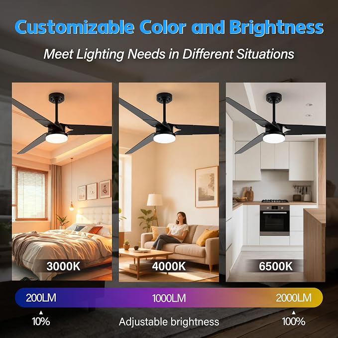 Ceiling Fan with Lights and Remote, 3 Blade App Control Timer Reversible Stepless Brightness and Color Temperature Outdoor Wood Ceiling Fan with Lights (Black, 60 I)