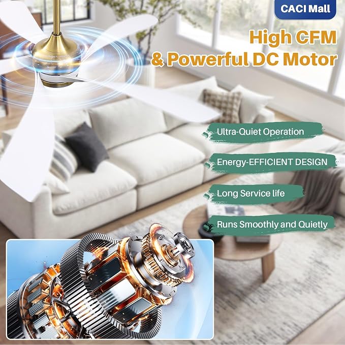 CACI Mall 52 Inch Ceiling Fans with Lights and Remote, modern, Outdoor ceiling fan with 6-Speed, 5 Blades, 2 Downrods, 3 CCT, Timer, Quiet Reversible DC Motor for Living Room, Bedroom, Patios