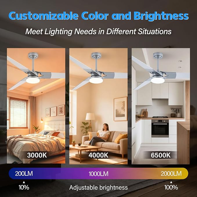 Ceiling Fan with Lights and Remote, 3 Blade App Control Timer Reversible Stepless Brightness and Color Temperature Outdoor Wood Ceiling Fan with Lights (Silver, 60 In'ch)