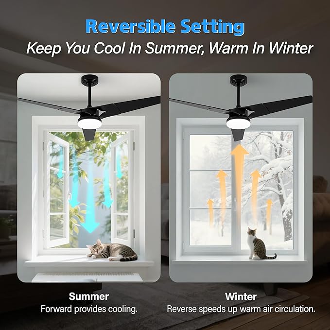 Ceiling Fan with Lights and Remote, 3 Blade App Control Timer Reversible Stepless Brightness and Color Temperature Outdoor Wood Ceiling Fan with Lights (Black, 52 In)