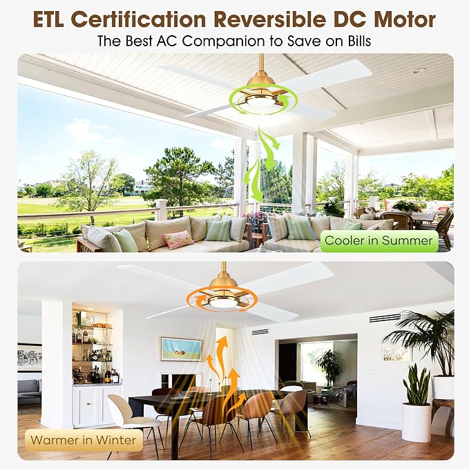 48" Modern White & Gold Ceiling Fan with LED Light and Remote Control, Quiet Reversible DC Motor, 6-Speed Indoor Ceiling Fan for Bedroom, Living Room, Dining Room