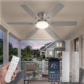 Fanbulous Ceiling Fans with Lights, 52 Inch 6-Blade, Smart APP & Remote Control, Dimmable 5CCT LED with Smart Memory, DC Motor Quiet for Bedroom Living Room, Damp Rated for Outdoor Covered Patio