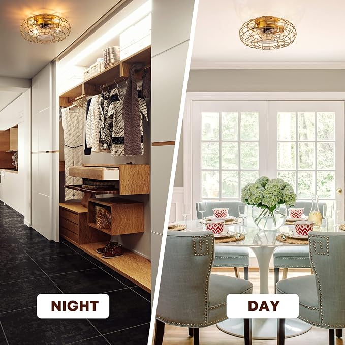 Ceiling Fan with Lights, 16 Inch Caged Ceiling Fan Lights Remote Control Small Industrial Ceiling Fan Light Fixture Flush Mount Farmhouse Light 8 Speeds Bladeless Lights for Bedroom Kitchen