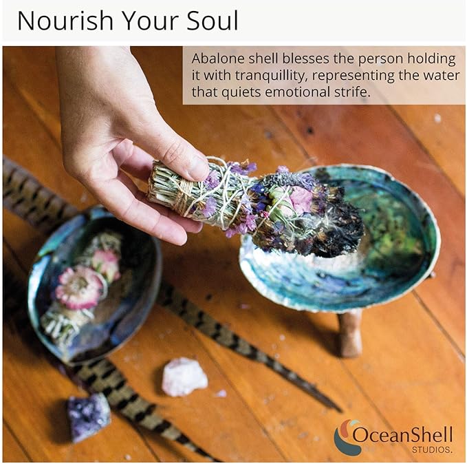 Natural Abalone (Pāua) Shell, with Stand,6-6.5 Inches,Supreme for Smudging,Cleansing Home,Meditation,Shell Crafts,Incense Holder,100% Natural, Sustainably Sourced by Ocean Shell Studios NZ