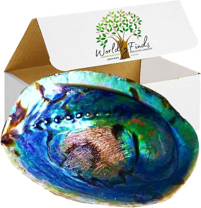 Beautiful Large Abalone Shell Smudge Bowl for Smudging, Sage Burning, Incense, Altar Supplies, Crystal Holder (6-7 Inches)