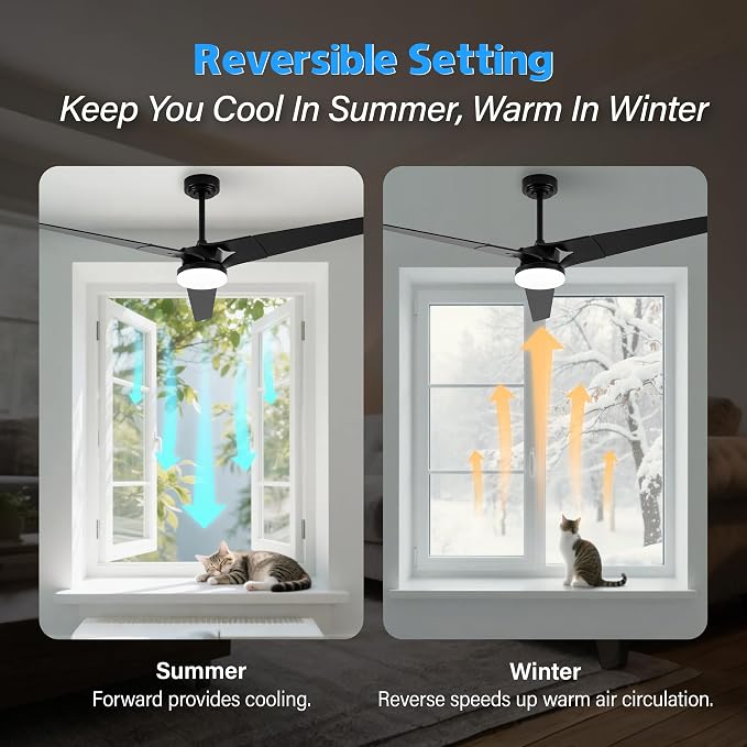 Ceiling Fan with Lights and Remote, 3 Blade App Control Timer Reversible Stepless Brightness and Color Temperature Outdoor Wood Ceiling Fan with Lights (Black, 60 I)