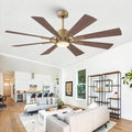 60 Inch Large Gold Ceiling Fan with Lights and Remote, Indoor Industrial Ceiling Fan for Living Room Commercial Garage, Modern High Big Ceiling Fan Quiet DC Motor, 3 CCT, Timer, 6-Speed