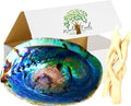 Beautiful Large Abalone Shell Smudge Bowl Set, Size Choices w/Natural Wood Stand for Smudging, Sage Burning, Incense, Altar Supplies (6-7 Inches w/Natural Stand)