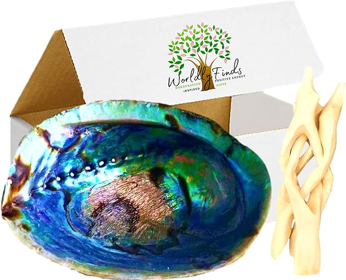 Beautiful Large Abalone Shell Smudge Bowl Set, Size Choices w/Natural Wood Stand for Smudging, Sage Burning, Incense, Altar Supplies (6-7 Inches w/Natural Stand)