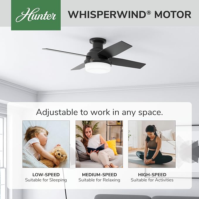 Hunter Dempsey, Outdoor or Indoor, Ceiling Fan, Quiet, 44 inch, Matte Black