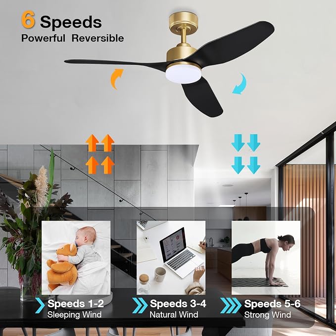 Hoenofly 48 Inch Smart Ceiling Fans with LED Lights Remote,Quiet DC Motor,Dimmable,Outdoor Indoor Gold Black Ceiling Fan Controlled by WIFI Alexa App,for Modern Bedroom Living Room Patio Porch
