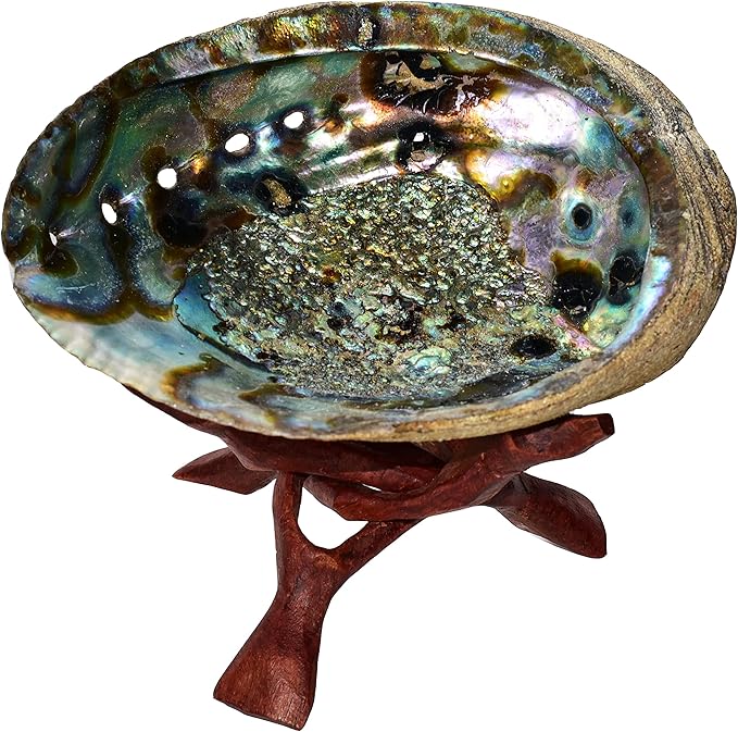 Abalone Shell with Wood Stand - Sage Smudge Kit, Incense Bowl (Stand Plus 6 1/2-7 1/2 Inch Shell)