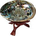 Abalone Shell with Wood Stand - Sage Smudge Kit, Incense Bowl (Stand Plus 6 1/2-7 1/2 Inch Shell)