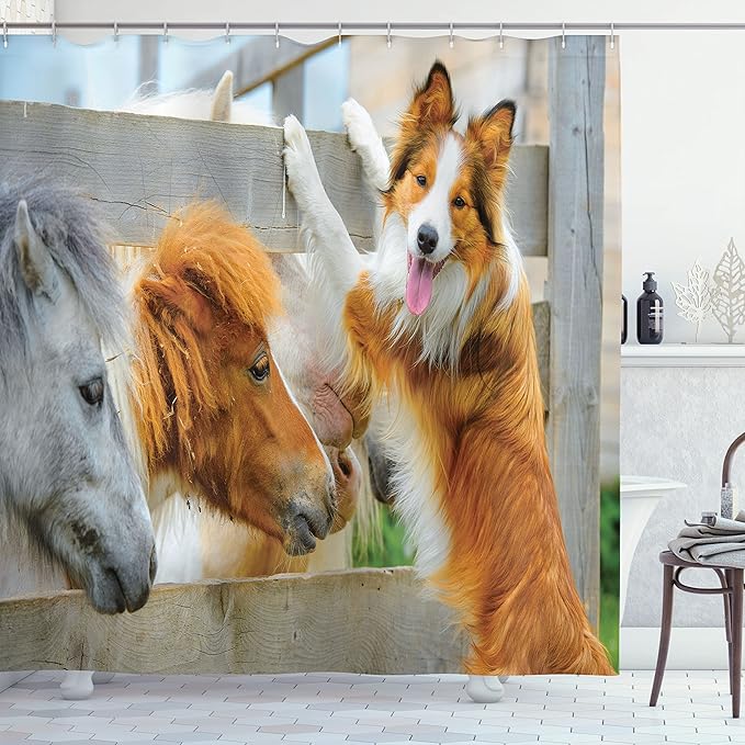 Ambesonne Nature Shower Curtain, Pony and Border Collie Dog are Dating Friendship Companionship Themed Nature, Cloth Fabric Bathroom Decor Set with Hooks, 69" W x 70" L, Amber Tan Grey