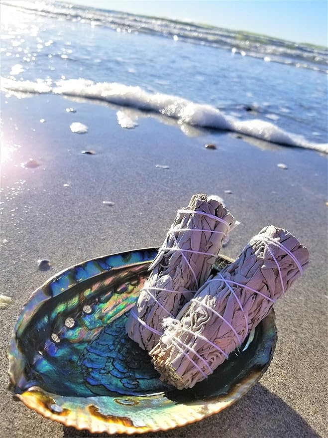 Beautiful Large Abalone Shell Smudge Bowl for Smudging, Sage Burning, Incense, Altar Supplies, Crystal Holder (6-7 Inches)