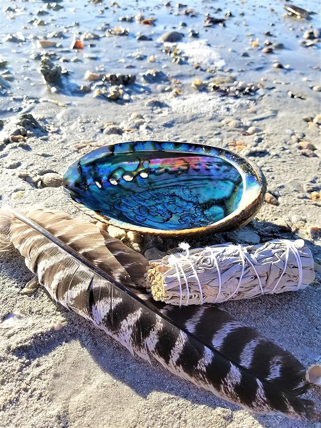 Beautiful Large Abalone Shell Smudge Bowl for Smudging, Sage Burning, Incense, Altar Supplies, Crystal Holder (6-7 Inches)