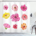 Ambesonne Daisy Shower Curtain, Gerbera Flower Heads in Pink and Yellow Shades Watercolor Aquarelle Art Floral, Cloth Fabric Bathroom Decor Set with Hooks, 69" W x 70" L, Multicolor