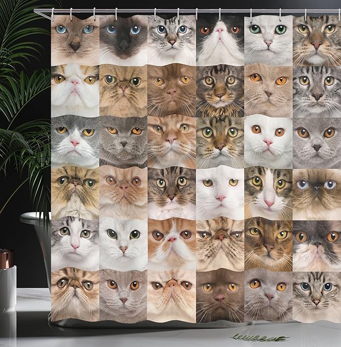 Ambesonne Cat Lover Shower Curtain, Collage of Cat Heads Breed British Shorthair Chartreux Turkish Angora, Cloth Fabric Bathroom Decor Set with Hooks, 69" W x 84" L, Brown White