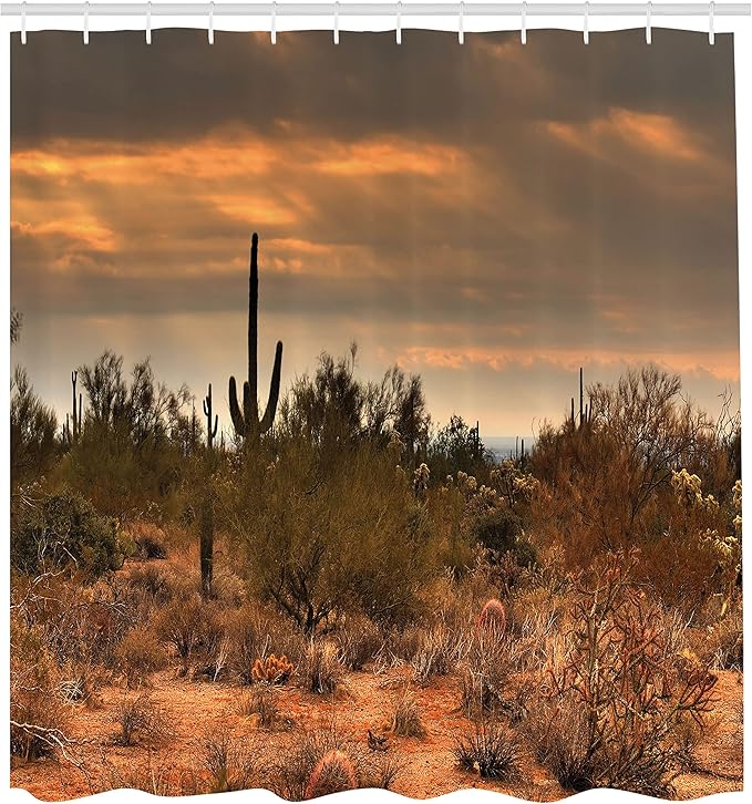 Ambesonne Saguaro Shower Curtain, Dramatic Shady Desert View with a Storm Cloud Approaching Western Arizona Photo, Cloth Fabric Bathroom Decor Set with Hooks, 69" W x 70" L, Orange Green