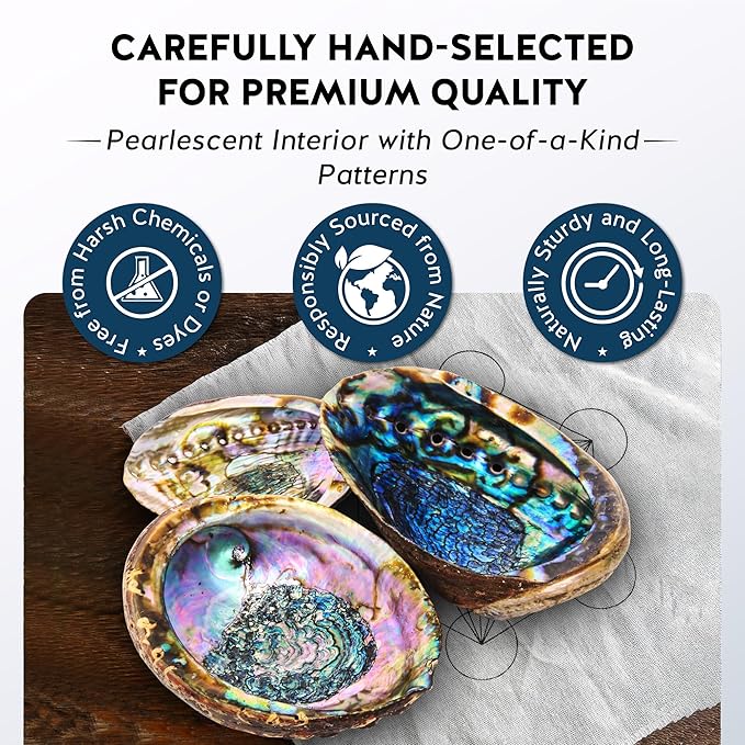 Alternative Imagination Hand Selected Abalone Shell - 6 Inches or Larger - Polished Mother-of-Pearl Interior - Flame-Proof Dish for Incense, Smudge Sticks, Trinkets, Crystal Display & Home Decor