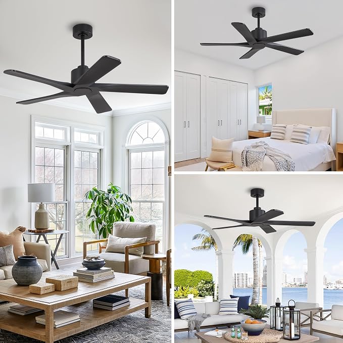 WINGBO 48" DC Ceiling Fan No Light - 5 Carved Solid Wood Blades, 6-Speed Reversible DC Motor, Ceiling Fan without Lights for Living Room Bedroom Kitchen Patio, Indoor and Outdoor, Matte Black