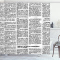 Ambesonne Old Newspaper Shower Curtain, Close up View of Aged Journal Page Headings News Articles Columns, Cloth Fabric Bathroom Decor Set with Hooks, 69" W x 70" L, Charcoal Grey White