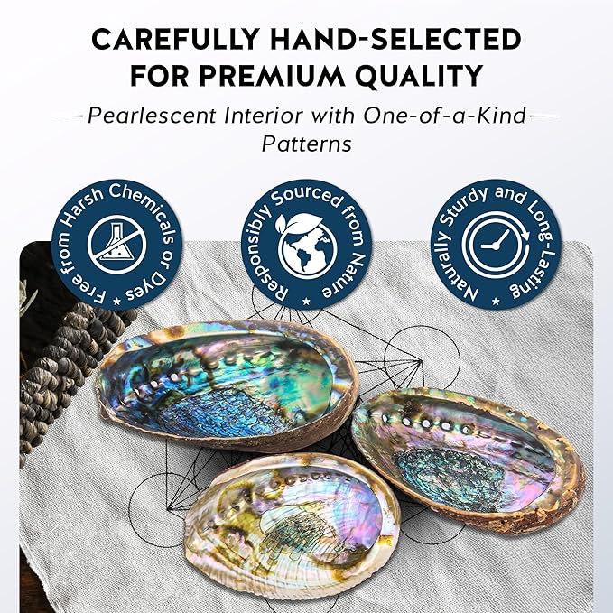 Alternative Imagination Hand Selected Abalone Shell - 5 Inches or Larger - Polished Mother-of-Pearl Interior - Flame-Proof Dish for Incense, Smudge Sticks, Trinkets, Crystal Display & Home Decor