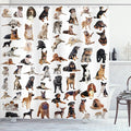 Ambesonne Dog Lover Shower Curtain, Composite Picture with Dogs Australian Sheepdog Belgian Boxer Italian Mastiff, Cloth Fabric Bathroom Decor Set with Hooks, 69" W x 84" L, Brown Black