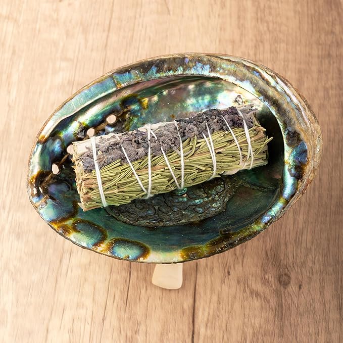 Wish Well Natural Abalone Shell 5-6 Inch Large with Wooden Stand - Incense Holder and Sage Smudge Bowl for Cleansing, Smudging, and Meditation - Palo Santo Holder & Beautiful Home Decor