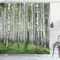 Ambesonne Landscape Shower Curtain, Autumn Trees in Birch Forest September Time View Landscape Picture, Cloth Fabric Bathroom Decor Set with Hooks, 69" W x 84" L, White and Black