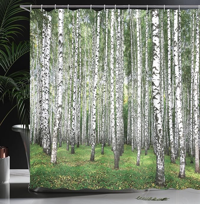 Ambesonne Landscape Shower Curtain, Autumn Trees in Birch Forest September Time View Landscape Picture, Cloth Fabric Bathroom Decor Set with Hooks, 69" W x 84" L, White and Black