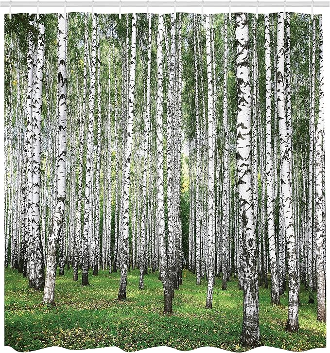 Ambesonne Landscape Shower Curtain, Autumn Trees in Birch Forest September Time View Landscape Picture, Cloth Fabric Bathroom Decor Set with Hooks, 69" W x 84" L, White and Black