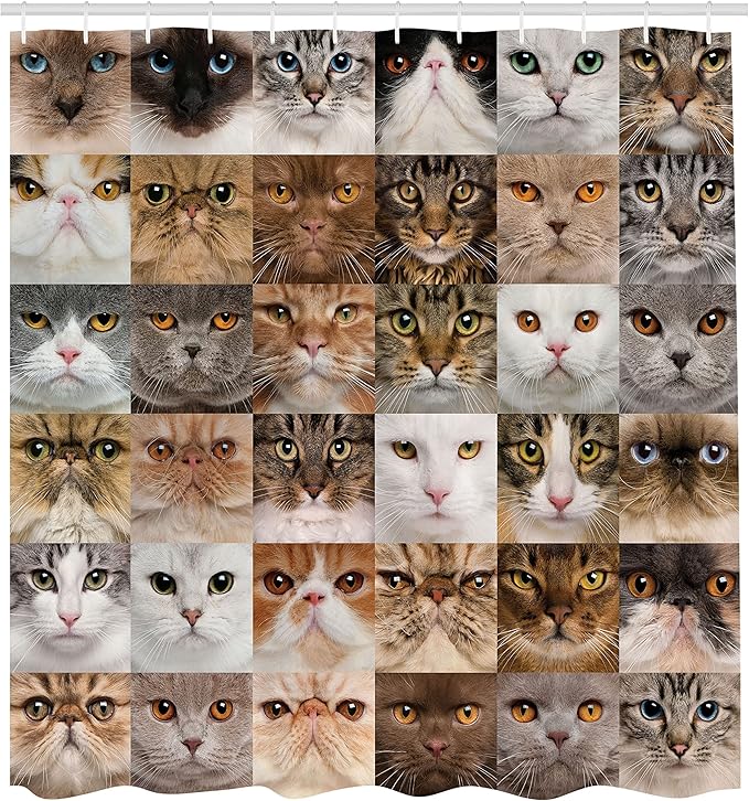 Ambesonne Cat Lover Shower Curtain, Collage of Cat Heads Breed British Shorthair Chartreux Turkish Angora, Cloth Fabric Bathroom Decor Set with Hooks, 69" W x 84" L, Brown White