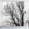 Ambesonne Nature Shower Curtain, Leafless Autumn Fall Tree Branches Tops Oak Forest Woodland Season Eco Theme, Cloth Fabric Bathroom Decor Set with Hooks, 69" W x 75" L, Charcoal Grey White